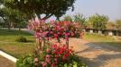 Casa indipendente in vendita con giardino a Fubine in strada franchini 4 - 06, Foto 6