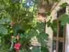 Casa indipendente in vendita con giardino a Cocconato in strada san martino 20 - 06, Foto 6