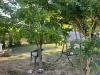 Casa indipendente in vendita con giardino a Asti in localit valterza 108 - 10, Foto 10