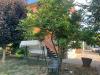 Casa indipendente in vendita con giardino a Asti in localit valterza 108 - 07, Foto 7