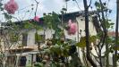 Rustico in vendita con giardino a Robella in via mazzini 6 - 04, Foto 4