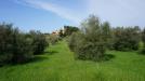 Terreno in vendita a Castelvetrano - verde agricolo - 05