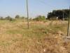 Terreno Agricolo in vendita a Castelvetrano in ss 115 - 05, Foto 5