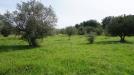 Terreno Agricolo in vendita a Castelvetrano in ss 119 - 06, Foto 6