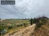 Terreno Agricolo in vendita a Castelvetrano in contrada latomie - 04, Foto 4