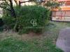 Appartamento in vendita con giardino a Gallese - 04, Foto 4