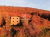 Rustico in vendita con giardino a Latera in strada provinciale 117 valle dell'olpeta snc - 10, Foto 10
