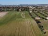Terreno Agricolo in vendita a Montalto di Castro in localit chiesa vecchia snc - 04, Foto 4