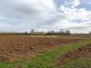 Terreno Agricolo in vendita a San Lorenzo Nuovo in via cassia nord snc - 05, Foto 5