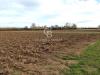 Terreno Agricolo in vendita a San Lorenzo Nuovo in via cassia nord snc - 06, Foto 6