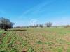 Terreno Agricolo in vendita a Ischia di Castro in localit vepre snc - 04, Foto 4