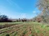Terreno Agricolo in vendita a Ischia di Castro in localit vepre snc - 05, Foto 5