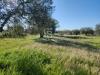 Terreno Agricolo in vendita a Ischia di Castro in strada dei colli snc - 02, Foto 2