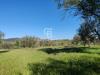 Terreno Agricolo in vendita a Ischia di Castro in strada dei colli snc - 07, Foto 7