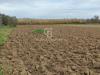 Terreno Agricolo in vendita a San Lorenzo Nuovo in via cassia nord snc - 09, Foto 9