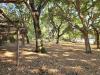 Terreno Agricolo in vendita a Montalto di Castro in via sicilia snc - 06, Foto 6