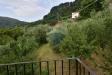 Casa indipendente in vendita da ristrutturare a Camporgiano - 10, Foto 10