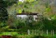 Casa indipendente in vendita con giardino a Bagni di Lucca - 04, Giardino