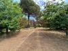 Rustico in vendita con giardino a Pignataro Maggiore - 03, 1.jpg
