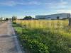 Terreno Agricolo in vendita a Vitulazio - 06, d7e6c06e-2967-4f56-bfd7-4cded02adb8d.jpeg