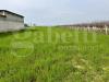 Terreno Agricolo in vendita a Vitulazio - 02, 67d519bb-9b58-4a51-be60-0555d80f6d35.jpeg