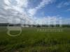 Terreno Agricolo in vendita a Presenzano - 05, 50c0a608-66e6-482c-b46f-a620ee7539c4.jpeg
