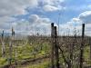Capannone in vendita a Pignataro Maggiore - 08, 6add795e-dfb6-449d-a87f-5a89b054cdac.jpeg