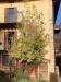 Appartamento in vendita a Sorisole in via montegrappa - 09, Foto 9
