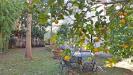 Villa in vendita con giardino a San Giuliano Terme in via trieste - 10, Foto 10
