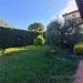 Casa indipendente in affitto a Cascina - 03