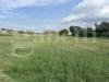 Terreno Agricolo in vendita a Pozzuoli - 05, image00001.jpeg