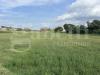 Terreno Agricolo in vendita a Pozzuoli - 05, image00001.jpeg