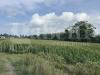 Terreno Agricolo in vendita a Pozzuoli - 07, image00003.jpeg