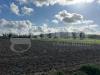 Terreno Agricolo in vendita a Pozzuoli - 09, image00004.jpg