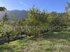 Appartamento in affitto arredato a Castel di Sangro - 03, 19.JPG