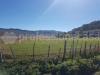 Terreno Agricolo in vendita a Pescocostanzo - 08, 8.jpg