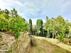 Villa in vendita con giardino a Massa - san carlo - 03