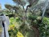 Appartamento in vendita con giardino a Massa - 03