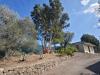 Villa in vendita con giardino a Perinaldo in localit scoglio snc - 02, Casa all'aperto
