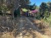 Villa in vendita con giardino a Ustica in contrada ogliastrello snc - 10, Foto 10