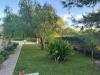 Villa in vendita con giardino a Ustica in contrada oliastrello snc - 03, Foto 3