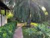 Villa in vendita con giardino a Palermo in via salvatore quasimodo 5 - 03, Foto 3
