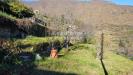 Casa indipendente in vendita con giardino a Rezzo in via castello - 09, Foto 9