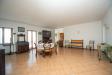 Casa indipendente in vendita con giardino a Montechiaro d'Asti in via strada vecchia 4 - 04, Foto 4