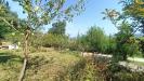 Terreno Agricolo in vendita a Orte - 05, IMG20250819102711.jpg