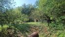 Terreno Agricolo in vendita a Orte - 07, IMG20250819102438.jpg