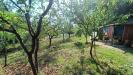 Terreno Agricolo in vendita a Orte - 09, IMG20250819102533.jpg