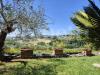 Villa in vendita con giardino a Amelia - 10, WhatsApp Image 2026-05-27 at 12.52.06 (35).jpeg
