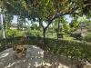 Casa indipendente in vendita a Orte - 10, WhatsApp Image 2026-08-11 at 14.46.55 (16).jpeg