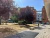 Appartamento in affitto arredato a Pescara - 10, 9.jpeg